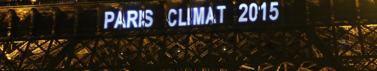 UN-Klimakonferenz, Großdemonstration Paris, 12.12.2015