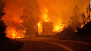 portugal-wildfire